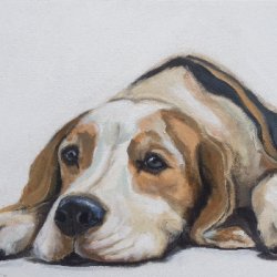 Beagle by Animals, Dog Portraits, Wildlife Art