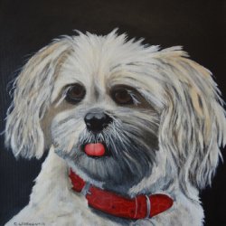Pippa by , Animals, Dog Portraits