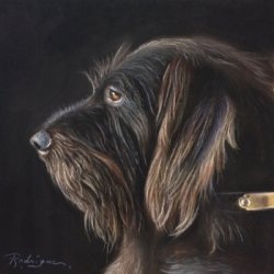 Blitz the Puddlepointer by Animals, Dog Portraits, Realism