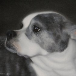 Portrait of American Bulldog by Animals, Dog Portraits, Realism