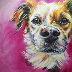 Charlie by Animals, Dog Portraits, Portrait