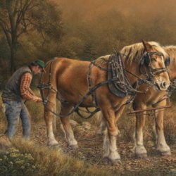Duo Strength by , Western, 