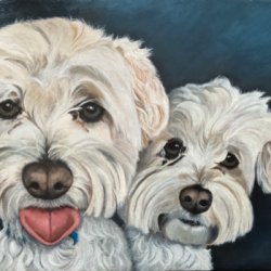 Maltese Cousins by Dog Portraits, Realism, 
