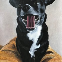 Miss Molly the Chihuahua by Animals, Dog Portraits, Realism