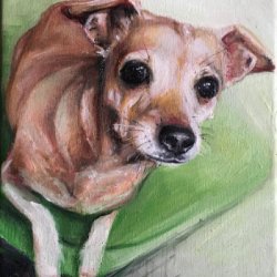 21 by Dog Portraits, , 