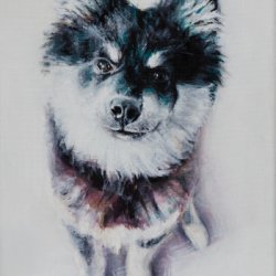 28 by Dog Portraits, , 