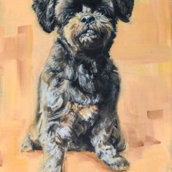 30 by Dog Portraits, , 