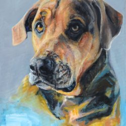31 by Dog Portraits, , 