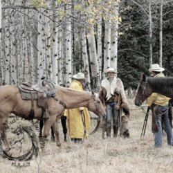 Cowboys Break by Horses, Rural, Western