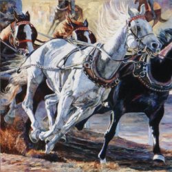 Greymar by Equine, Horses, Western