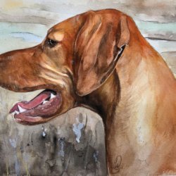 Portrait of a Working Dog by Animals, Dog Portraits, Prairie Art