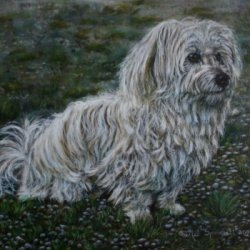 Commissioned Painting - Dog by Dog Portraits, , 