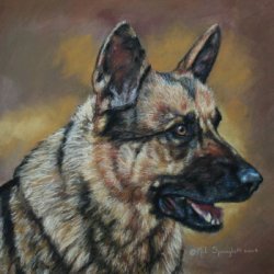 German Shepherd by , Dog Portraits, 