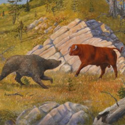 Bear Market by Western, , 